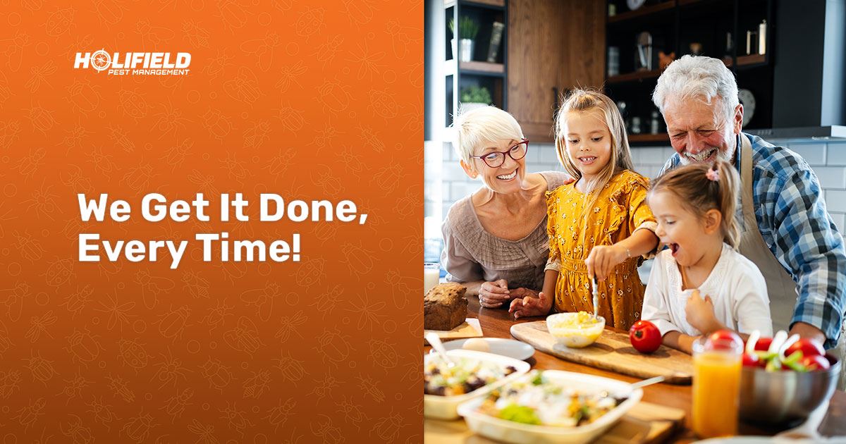 Laurel, MS Pest Control Holifield Pest Management